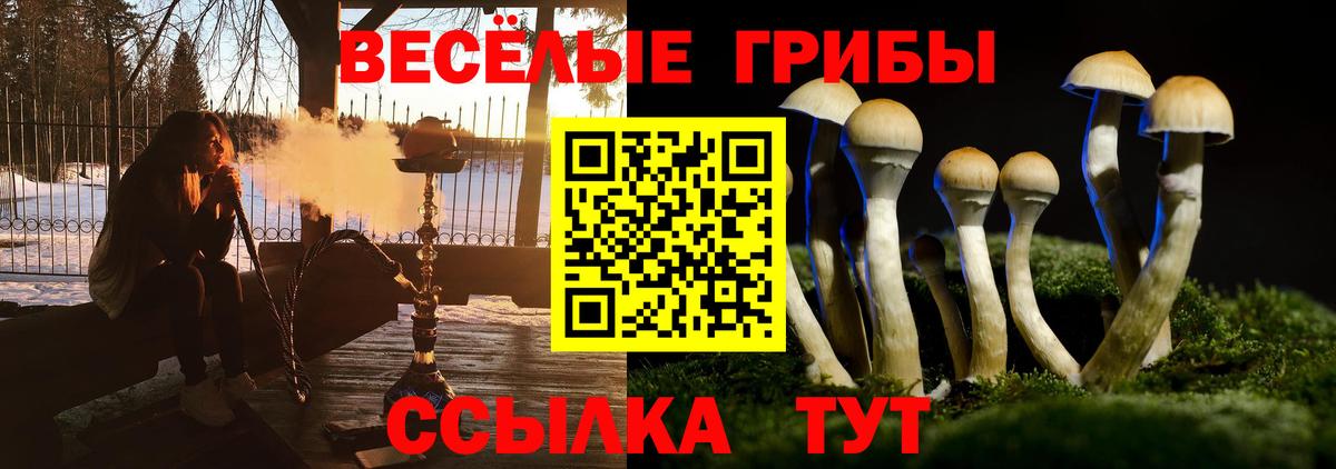 Псилоцибиновые грибы Psilocybine cubensis Тюмень